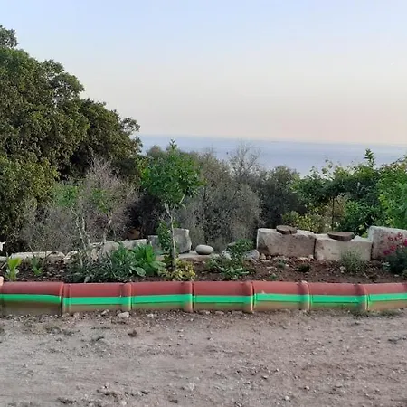 Apartament Mimi's Sunnyview House