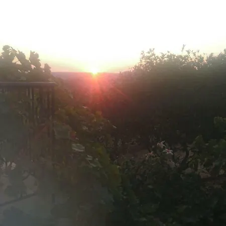 Mimi's Sunnyview House *