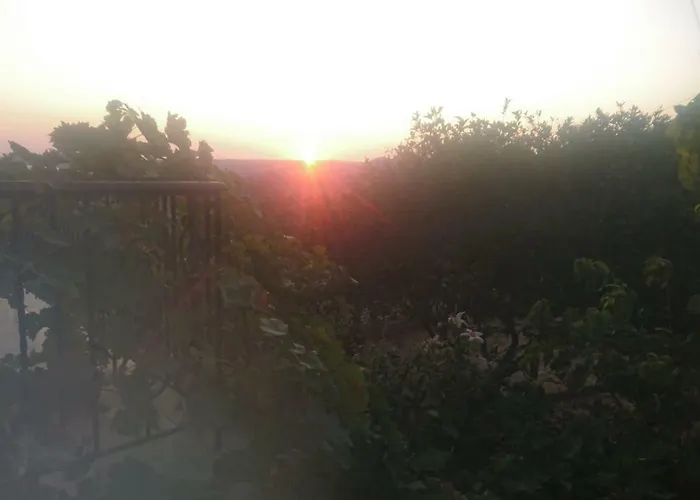 Mimi's Sunnyview House *