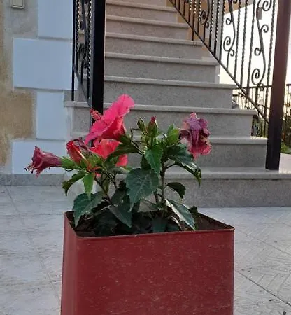 Mimi's Sunnyview House 公寓 *